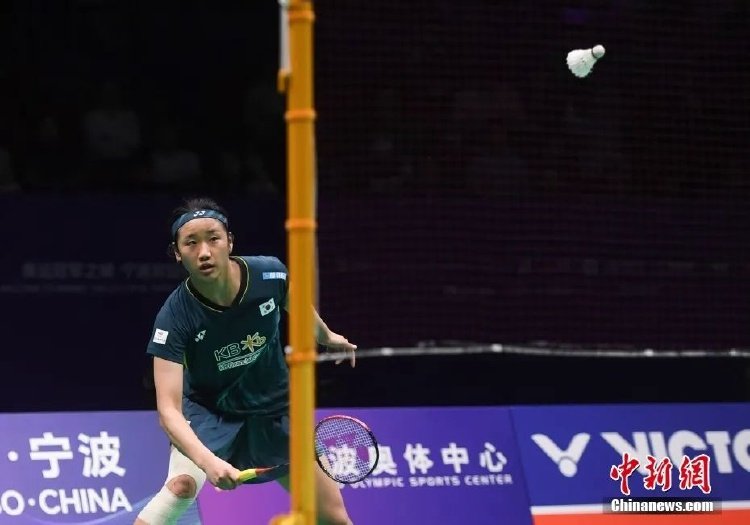 动化女子公 动化女子公